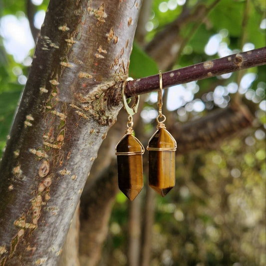 Ohrhänger Tigerauge